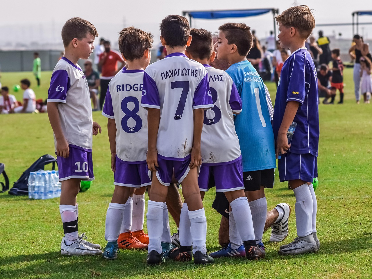 DDOS网页端平台|富力中心附近公司注册代理