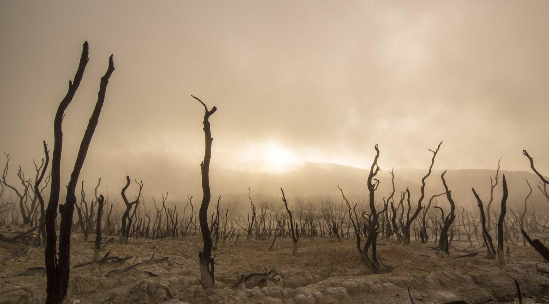 摩域体育，注册|西青代理商标注册哪家好