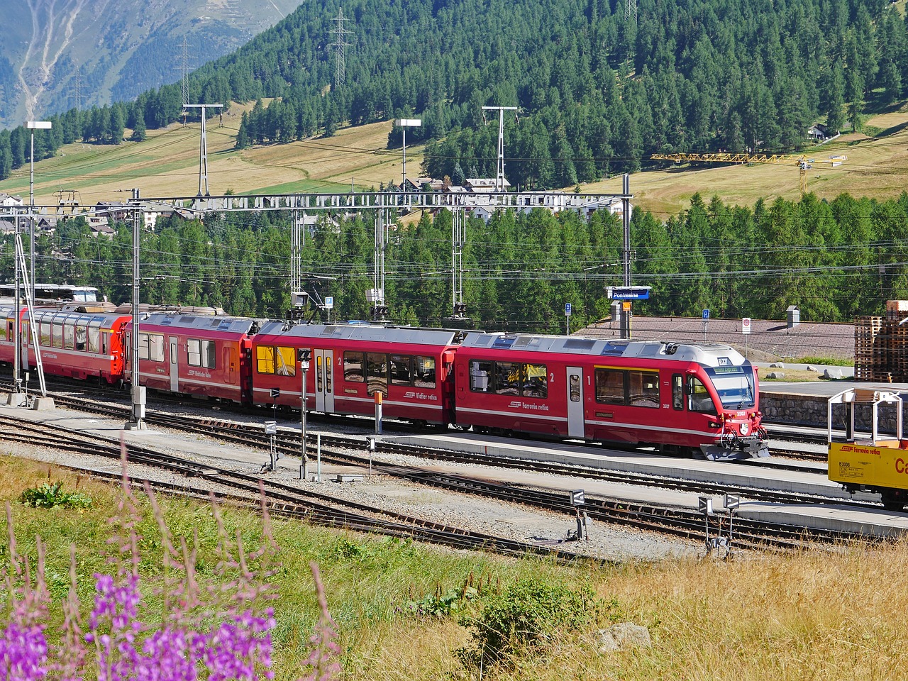 金洋5娱乐，注册|费县注册代理记账报税