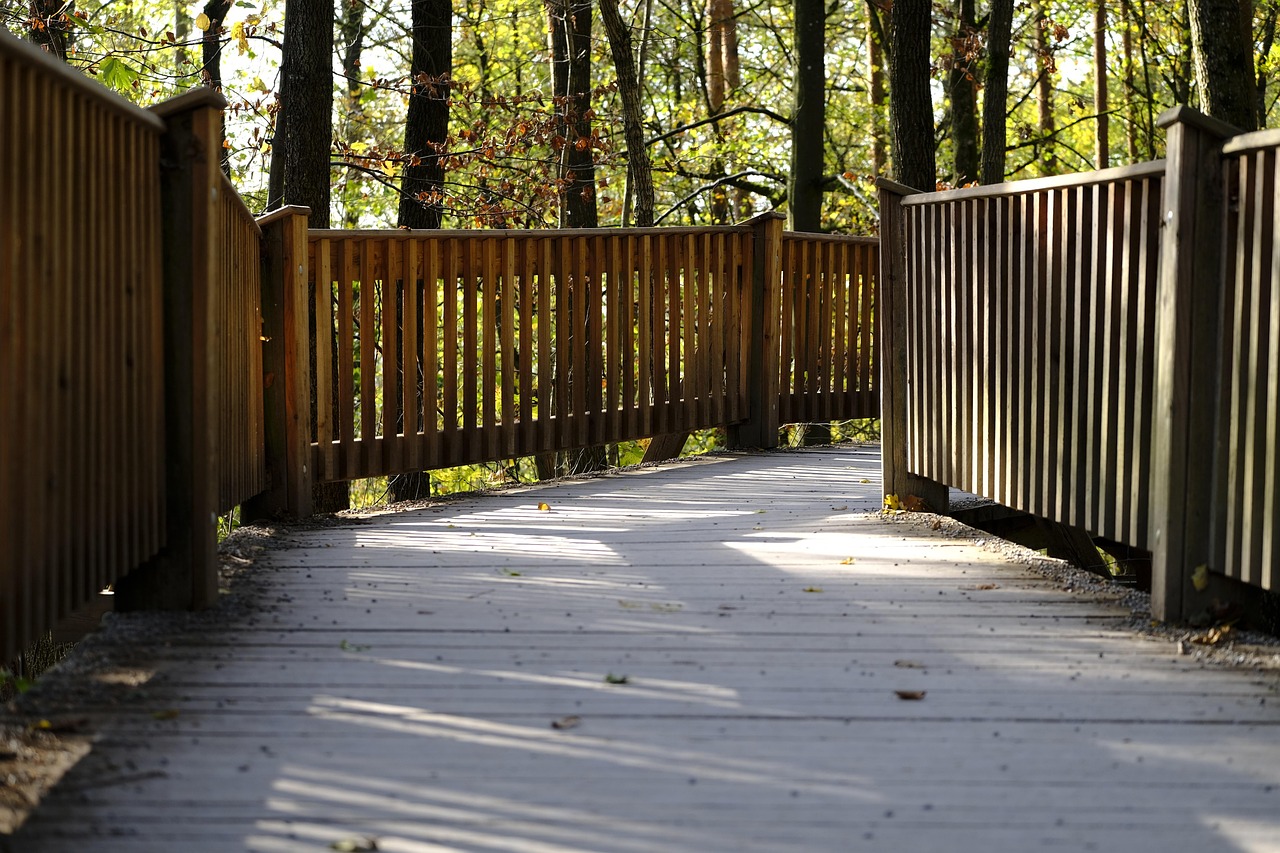 天使之战辅助- 鲁能团队竞技app详情下载教程