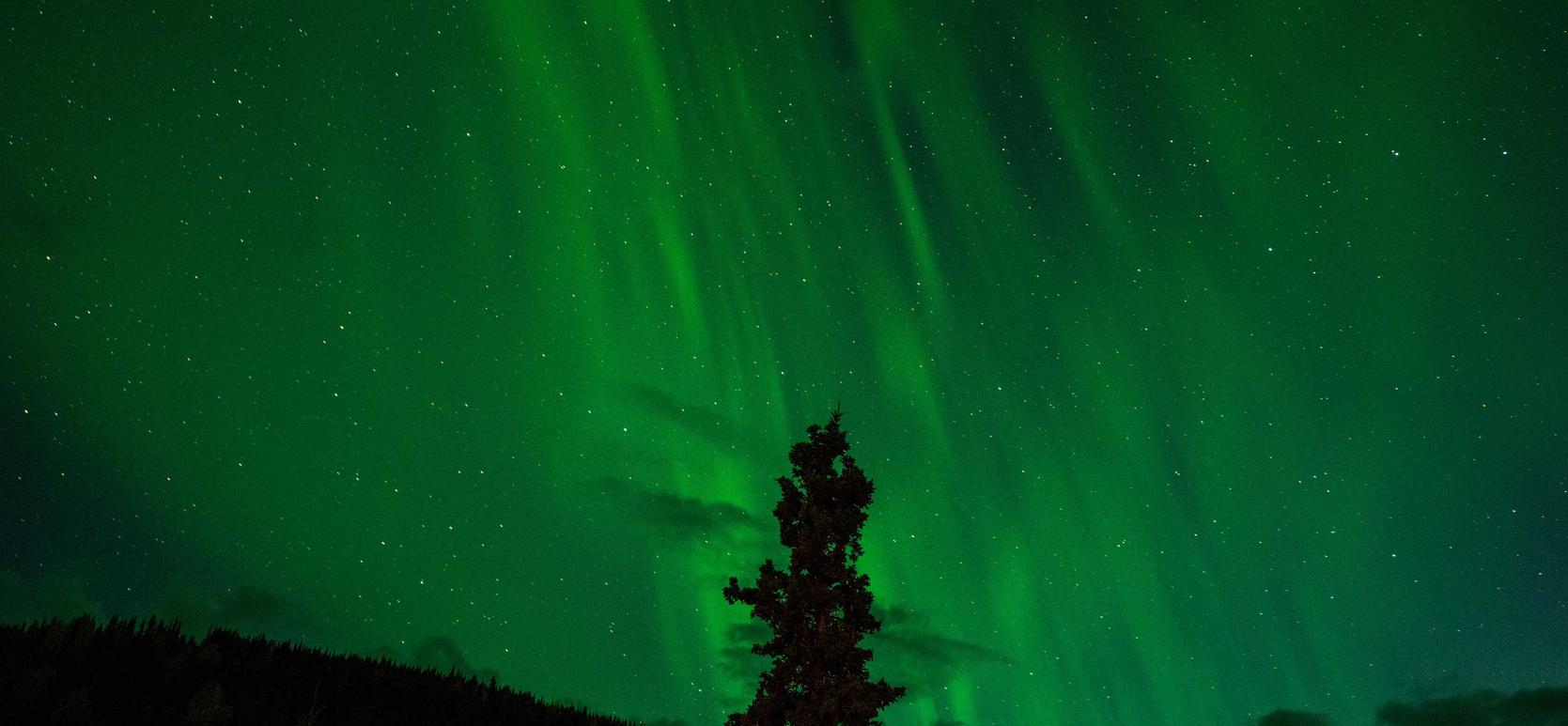 263网络通信实名账号:实名认证,为网络个人信息保护铺平道路