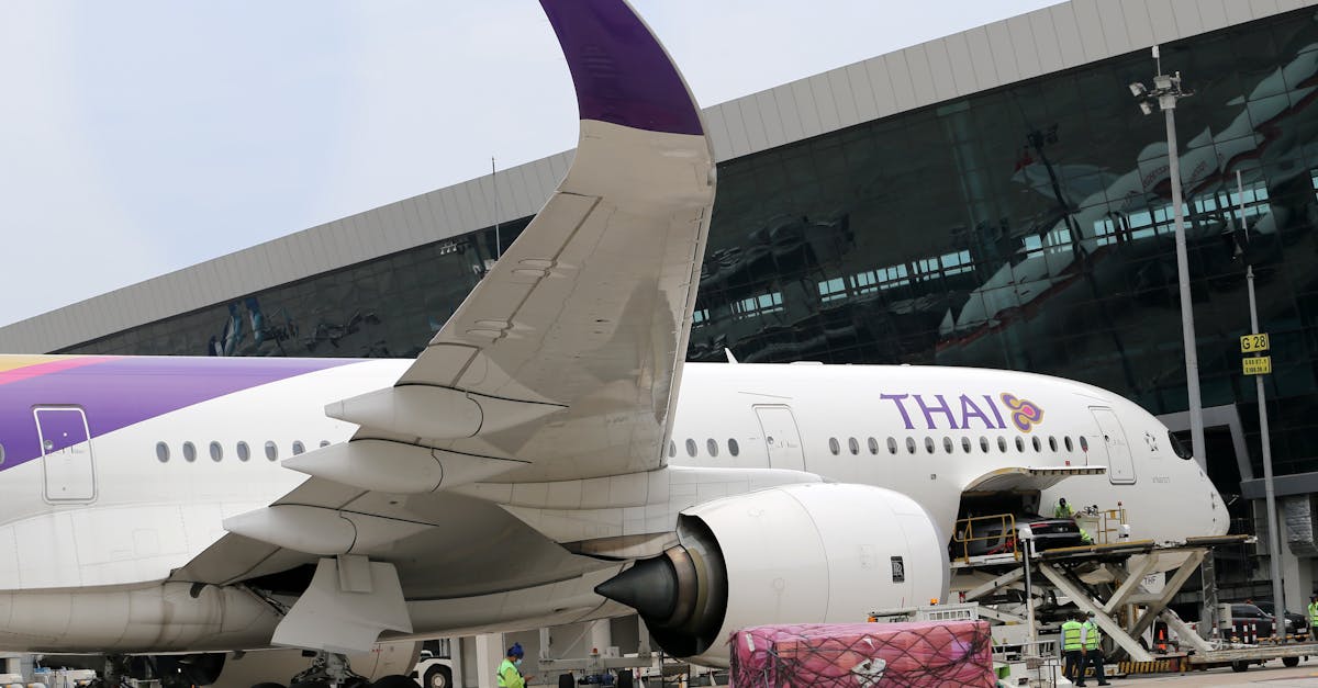 QQ华夏：考拉网校app详情下载教程