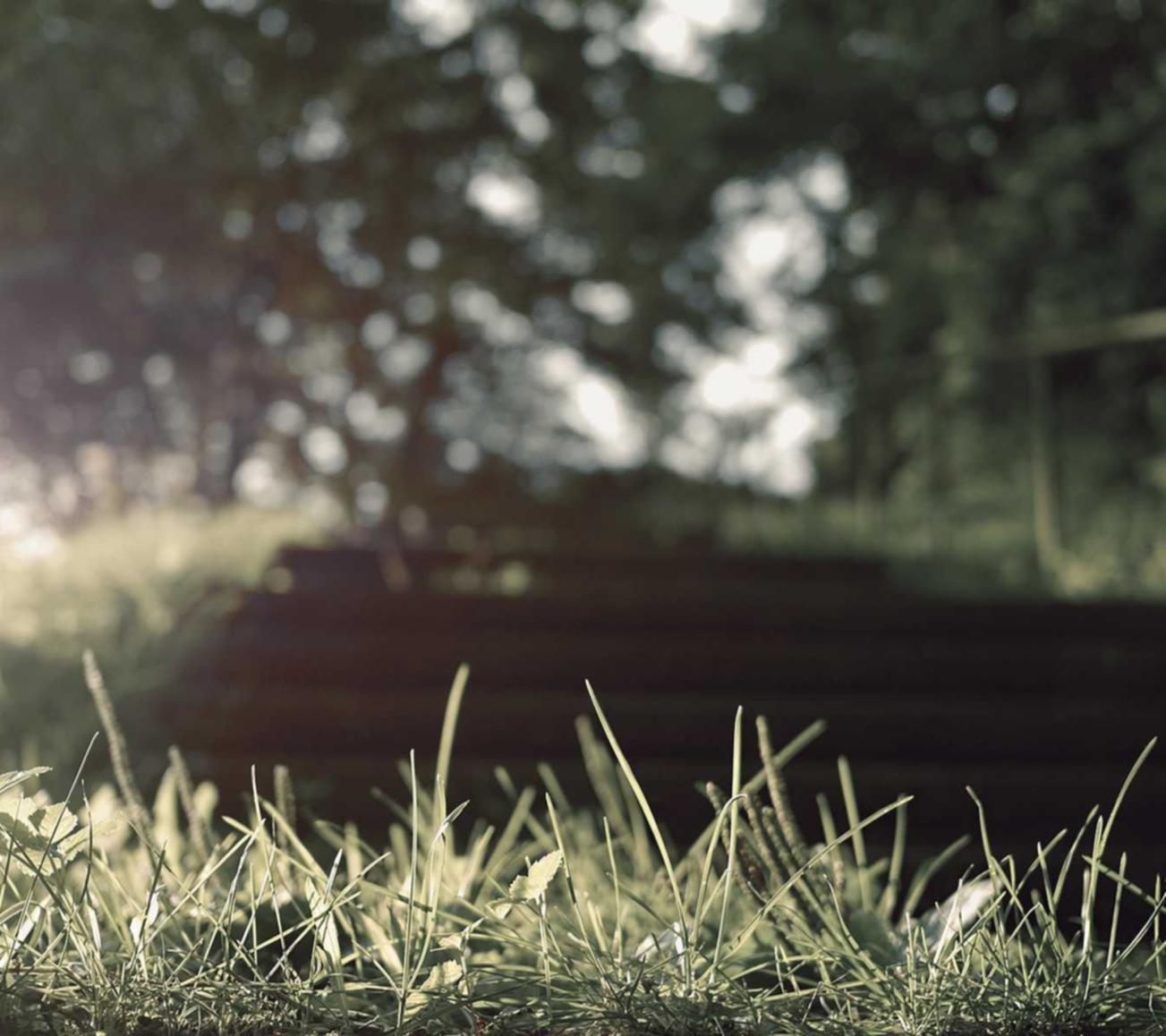 物联卡哪家好：临邑代理注册时间