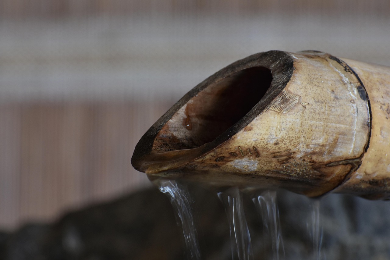 香烟对人类和世界未来的挑战和启示